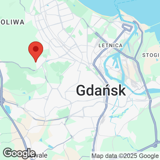 Mapa lokaliacji Leśna Góra