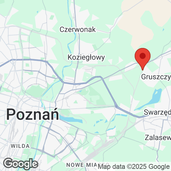 Mapa lokaliacji Kameralny Gruszczyn